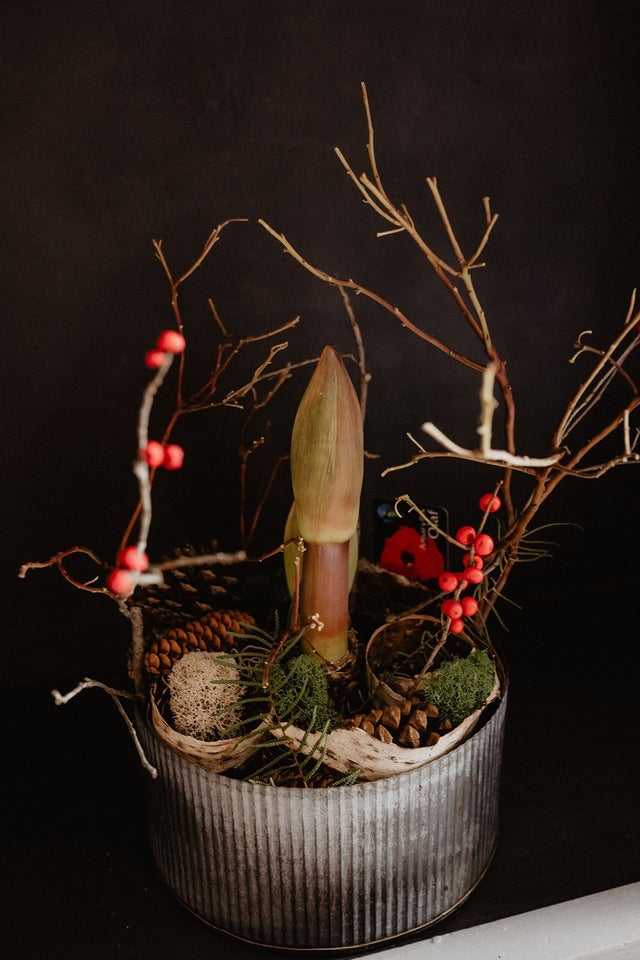 Seasonal Gifts  Samantha Nass Floral Design LLC